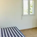 Bel Dans A La Campagne Proche D'ajaccio *