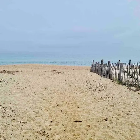 Bel Dans A La Campagne Proche D'ajaccio Apartment *