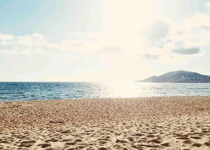 Apartamento Bel Dans à La Campagne Proche D’ajaccio